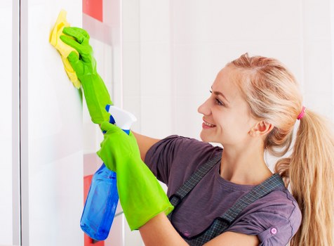 Accessibility commitment for Honor Oak Carpet Cleaners with inclusive digital access