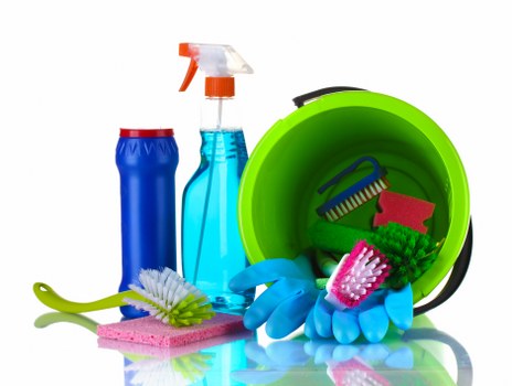Carpet cleaner pricing discussion for an Honor Oak home
