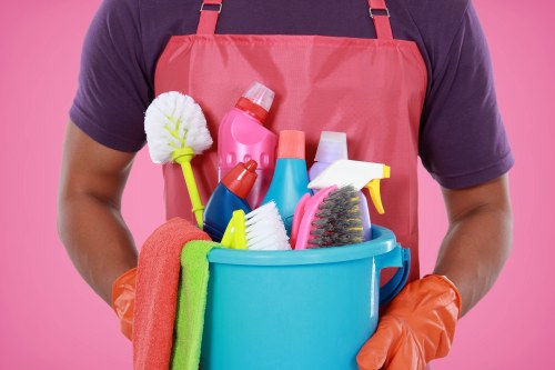 Honor Oak carpet cleaners restoring a living room carpet
