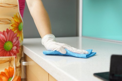 Honor Oak carpet cleaners introducing their local service and professional approach