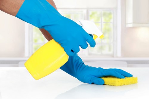 Technician preparing safe carpet cleaning equipment in a home