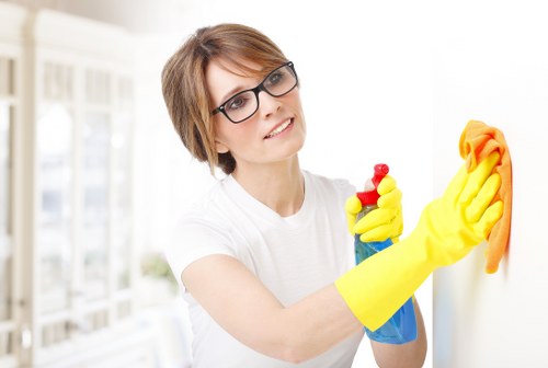 Reusable cleaning supplies and reduced-packaging products used in carpet cleaning