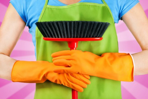 Professional curtain cleaning in a Honor Oak home living room