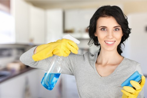 Stain removal and upholstery care for local Honor Oak residents
