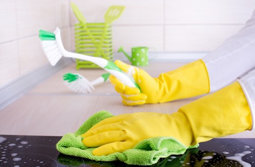 Deep cleaning process for a decorative rug in Honor Oak home