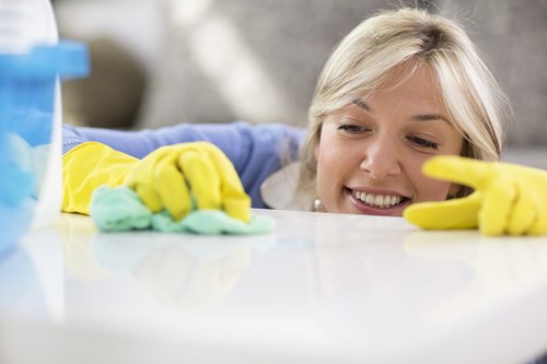 Enzyme-based pet odour removal process in Honor Oak household