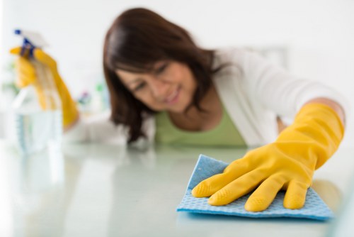 Technician preparing a carpet for steam cleaning in Honor Oak