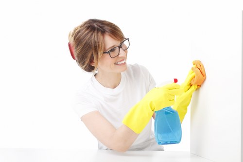 Technician performing deep sofa cleaning on a living room couch
