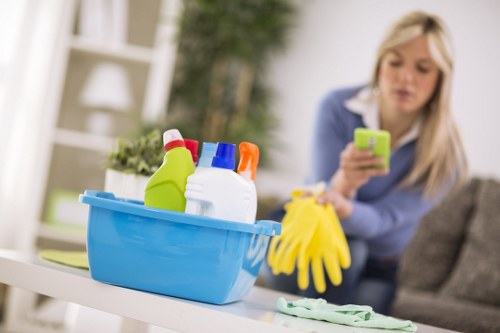 Carpet cleaner protecting furnishings during a cleaning job