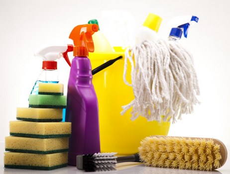 Professional carpet cleaner reviewing customer booking details